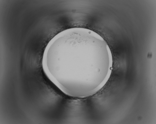 X0000102260411200808081406