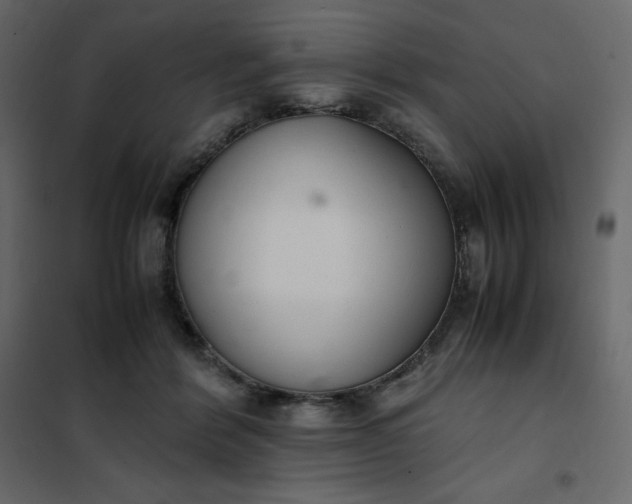 X0000102260412200808081406