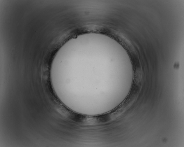 X0000102260413200808081406