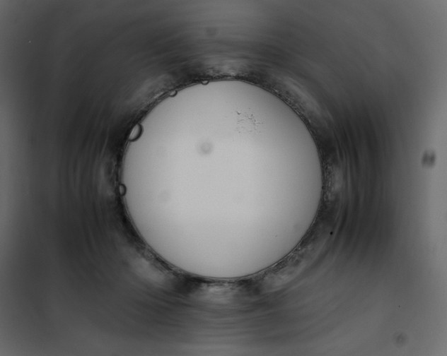 X0000102260414200808081406