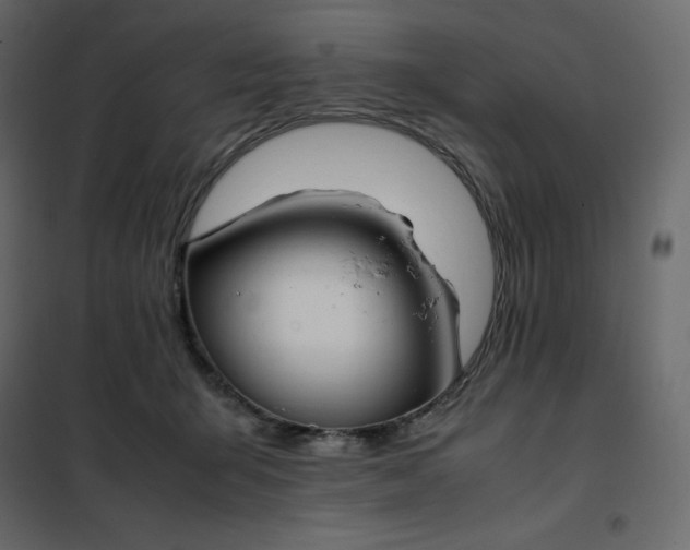 X0000102260415200808081406