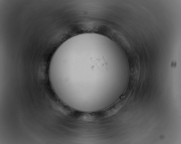 X0000102260416200808081406