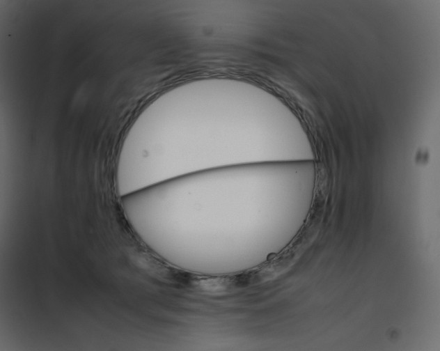 X0000102260417200808081405