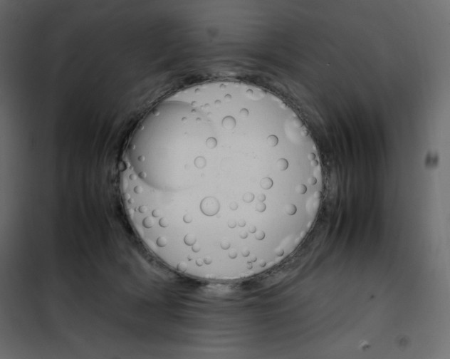 X0000102260418200808081405