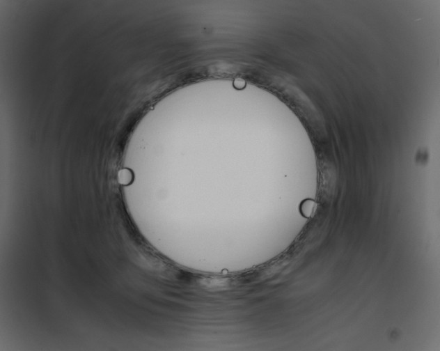 X0000102260419200808081405