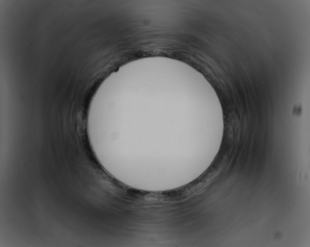 X0000102260420200808081405