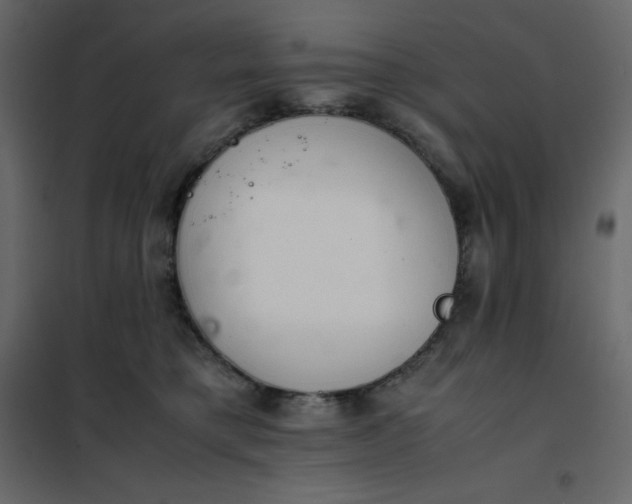 X0000102260421200808081405