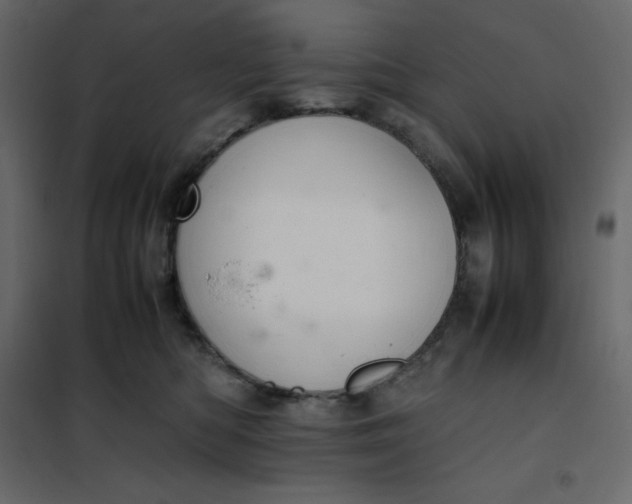 X0000102260422200808081405