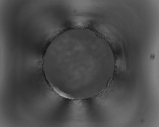 X0000102260423200808081405