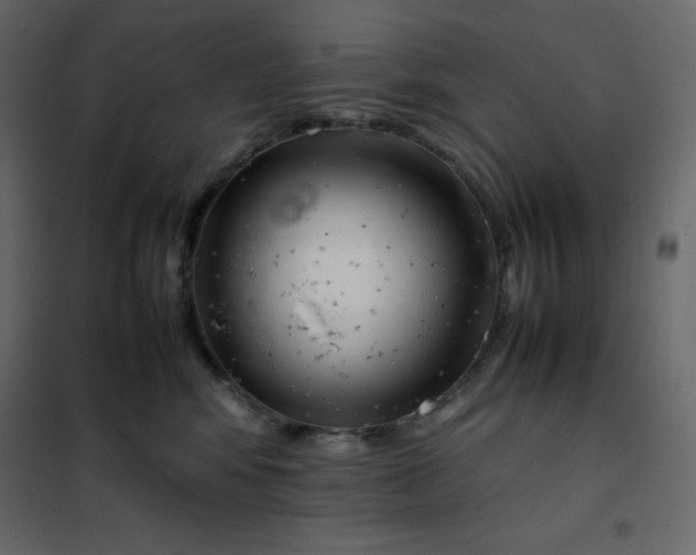 X0000102260424200808081405