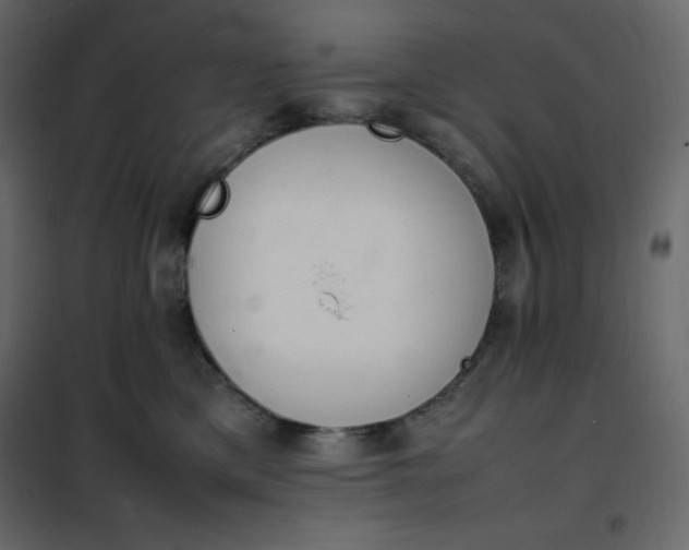 X0000102260425200808081405