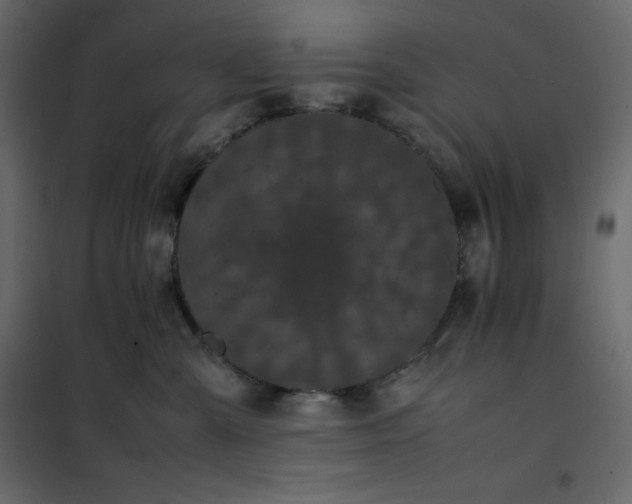 X0000102260427200808081405