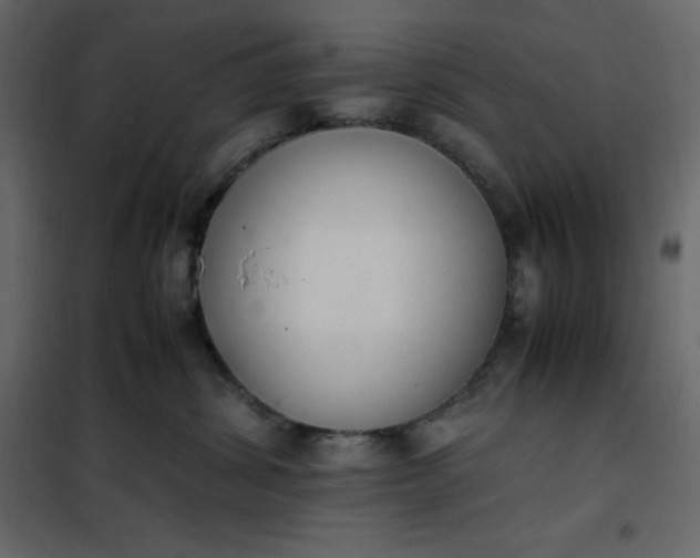 X0000102260428200808081405