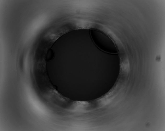 X0000102260429200808081405