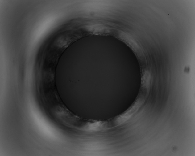 X0000102260430200808081405