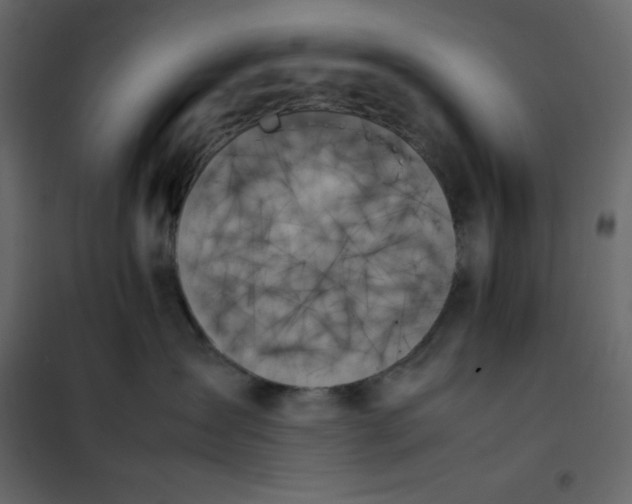 X0000102260431200808081405