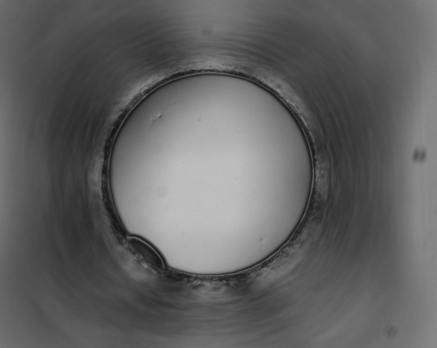 X0000102260434200808081404