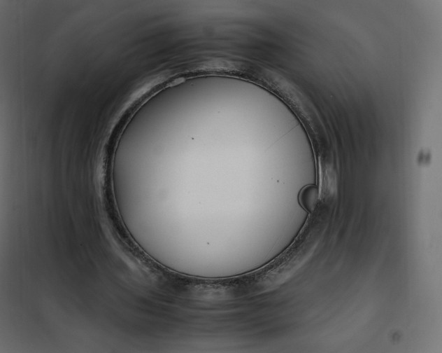 X0000102260435200808081404