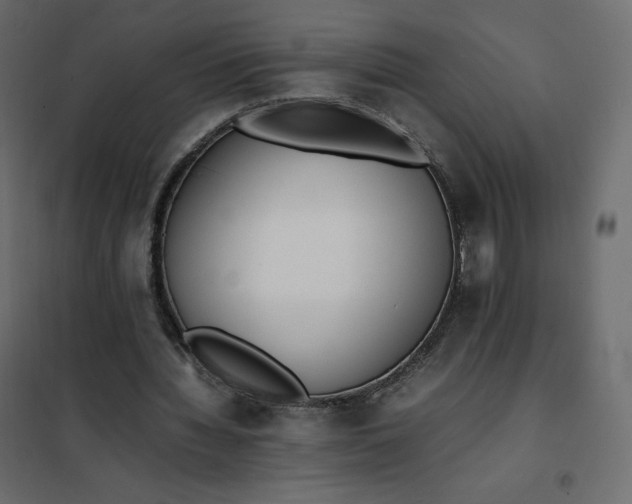 X0000102260436200808081404