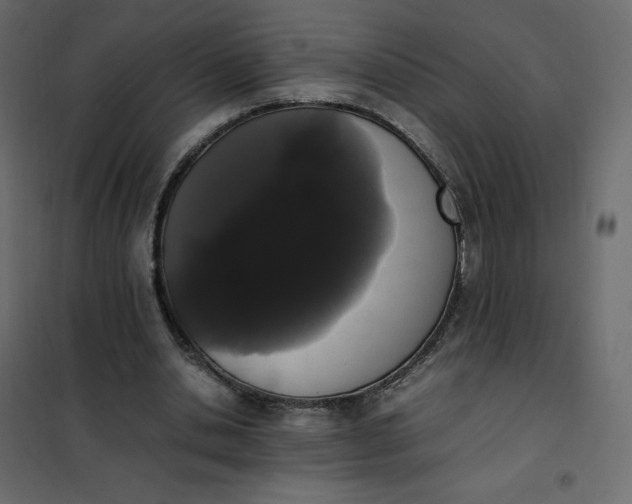 X0000102260438200808081404