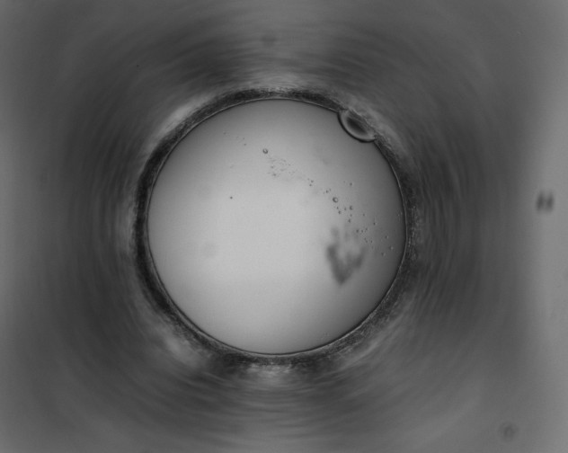 X0000102260440200808081404