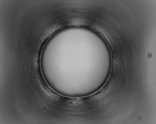 X0000102260443200808081404