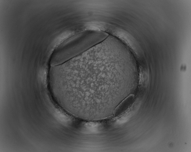 X0000102260444200808081404