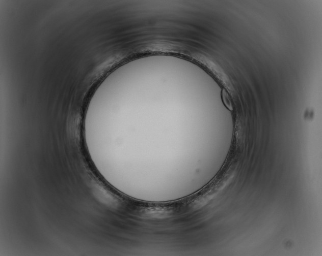 X0000102260445200808081404