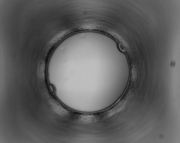 X0000102260446200808081404