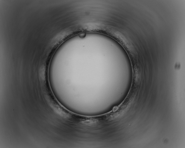 X0000102260447200808081404