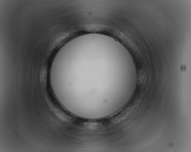 X0000102260448200808081404