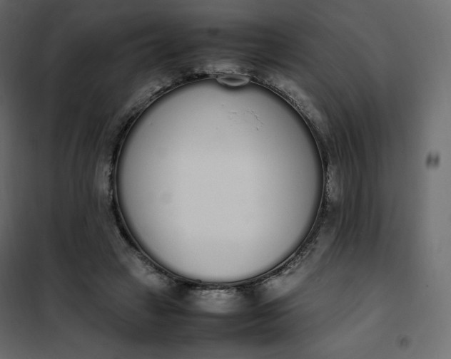 X0000102260449200808081404