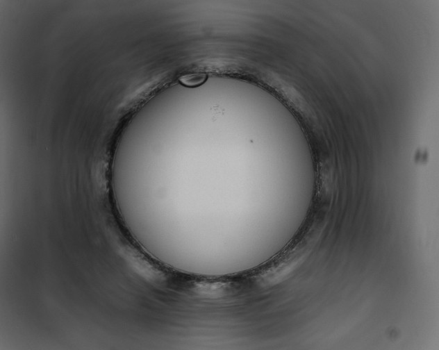 X0000102260450200808081404