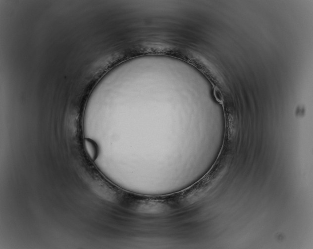 X0000102260451200808081404