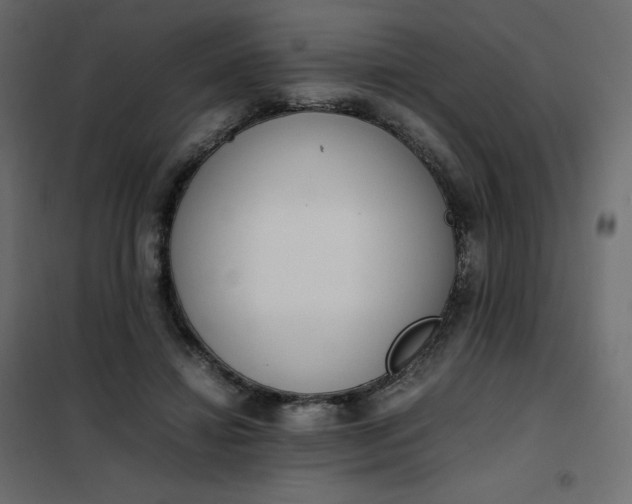 X0000102260452200808081404