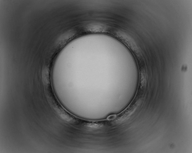 X0000102260453200808081404