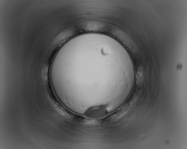 X0000102260454200808081405