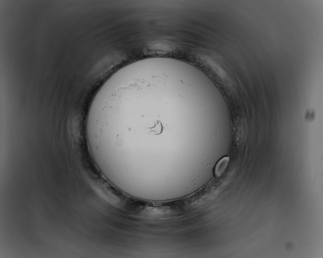 X0000102260455200808081405