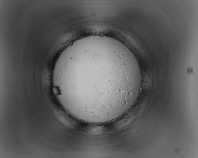 X0000102260456200808081405