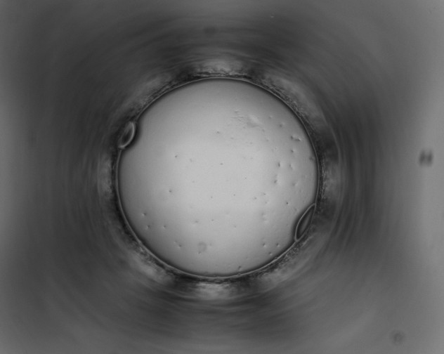 X0000102260457200808081405