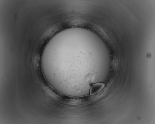 X0000102260458200808081405