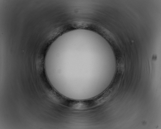 X0000102260460200808081405