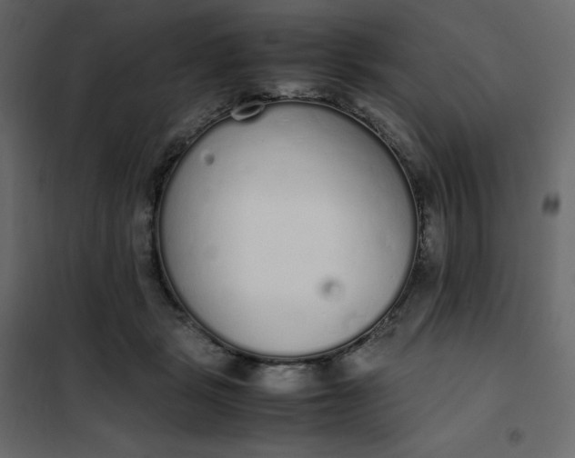 X0000102260461200808081405