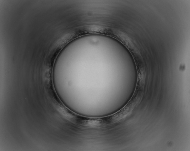 X0000102260462200808081405