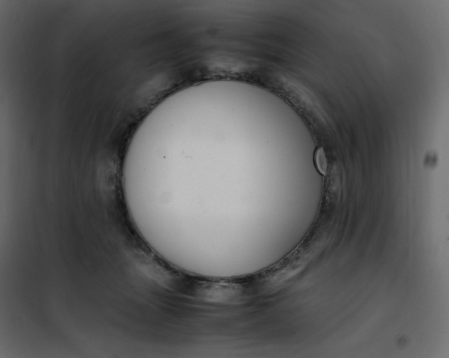 X0000102260463200808081405