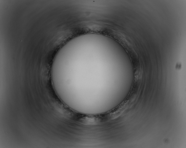 X0000102260464200808081405