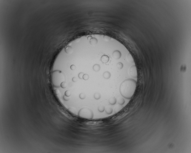 X0000102260465200808081405