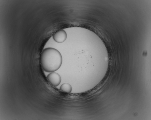 X0000102260466200808081405