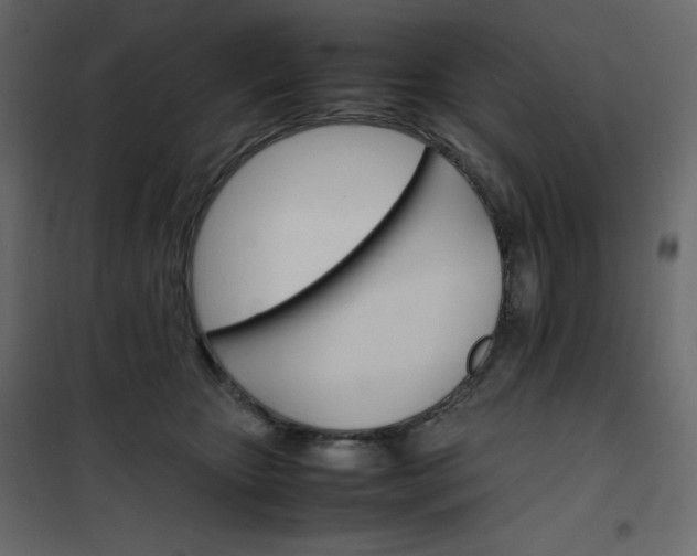 X0000102260467200808081405