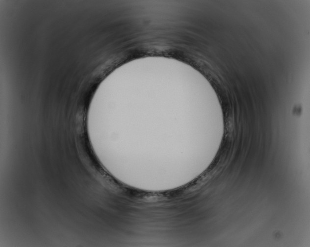 X0000102260468200808081405